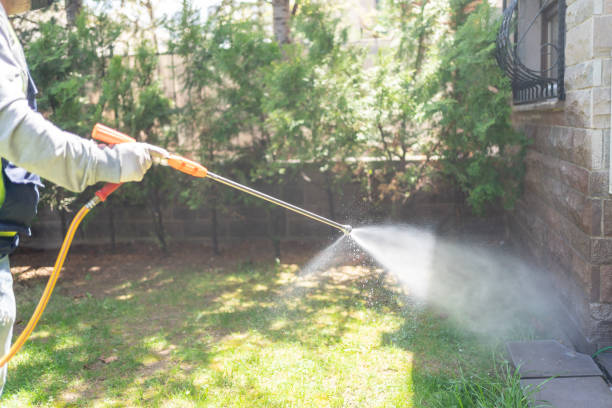 Professional Pest control in Farmington, PA